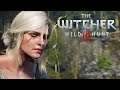 The Witcher 3: The Isle Of Mists - Part 21 - Apex Plays