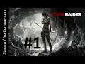 Tomb Raider (2013) (Part 1) playthrough stream
