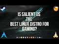 Is Salient OS The Best Linux Distribution For Gaming?