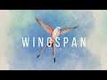 WINGSPAN (Switch) First 25 Minutes on Nintendo Switch - First Look - Gameplay ITA