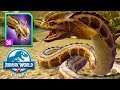 FIGHTING NEWLY BUFFED MAX SPINOCONSTRICTOR (JURASSIC WORLD ALIVE)