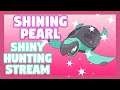 ill stream if i get the shiny | Shinyhunting pachirisu