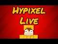 It's been a while... | Hypixel Livestream