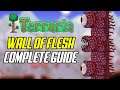 Terraria How To Defeat The Wall Of Flesh Guide (Spawning, Loot, Tips & Tricks)