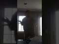 the wiggles . play your guitar with Murray . dan's dance video