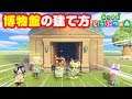 博物館の建て方 あつまれどうぶつの森