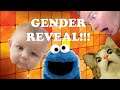 babyQ Gender Reveal!