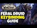 Feral Druid Keybinding Guide | WoW Shadowlands 9.0.5