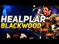Healplar Templar Healer Build - ESO Blackwood (Elder Scrolls Online)