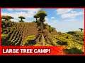 Minecraft: Tree Root Camp Site - Build Timelapse