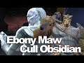 NEW Ebony Maw & Cull Obsidian, Thano's Black Order