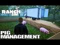 Pig Management Made Easy | Ranch Simulator Gameplay | E11