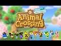 PUMPKINS AND 5 STAR ISLAND TOUR I Animal Crossing: New Horizons