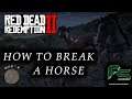 Red Dead Redemption 2 - How To Break A Horse (STEP BY STEP GUIDE)
