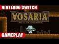 Vosaria: Lair of the Forgotten Nintendo Switch Gameplay