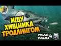 ИЩУ ХИЩНИКА С ЛОДКИ Русская Рыбалка 4
