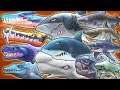 ALL SHARKS UNLOCKED (NESSIE)!!! (HUNGRY SHARK EVOLUTION)