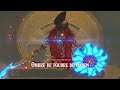 créature divine (Vah'Naboris) The legend of zelda breath of the wild Gameplay 36 (Switch) VF