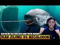 IKAN ZILONG RAKSASA VS MEGALODON IKAN PALING GUA SUKA - FEED AND GROW FISH INDONESIA #29