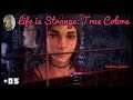 Life is Strange True Colors #05 Steph's Trauer lindern [Deutsch german Gameplay]