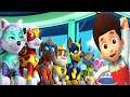 Paw Patrol | Pups Save the Mandy Monkey | Paw Patrol Mighty Pups Tracker Marshall on Action Nick Jr