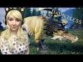Stormclaw Kill  - Dauntless  / Monster Hunter World Console PS4 PRO Gameplay