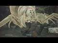 Albino Wosschyyyk Giant Spider Echo and Backstory in Fallen Order