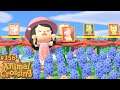 Cadeau d'abonné trop gentil !!! 🌴 Animal Crossing New Horizons 356 Let's play Nintendo Switch