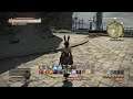 How to get your Chocobo in 2020 Final Fantasy XIV