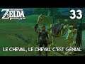 LE CHEVAL, LE CHEVAL C'EST GÉNIAL - Zelda Breath Of The Wild | 33