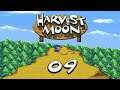 Let's Play - Harvest Moon #Part 09 - Der Frühling geht zuende
