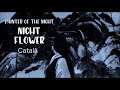 Night Flower - Painter of the Night - Català
