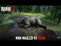 Red Dead Redemption 2 Easter Egg - Man Mauled by Bear (Man vs Bear) + Antler Knife