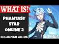 Phantasy Star Online 2 Introduction | What Is Series