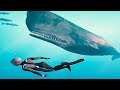 DIVING WITH GRUMPY WHALES (deep sleep relaxing) - Beyond Blue Gameplay