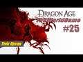 Прохождение Dragon Age: Origins [#25] (Тейг Ортан)