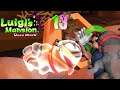 Let's Play Luigi's Mansion Dark Moon [Part 13] - Doggo Plays Keep Away Again