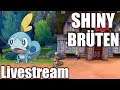 Shiny Pokémon brüten - Pokémon Schwert Livestream #2
