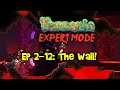 WALL OF FLESH! Terraria EXPERT MODE Let's Play, Ep 2-12 (1.3 PC Gameplay)