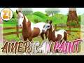 DAS NEUE AMERICAN PAINT HORSE! 🐴 SSO HORSES STAR STABLE [SSO NEWS]