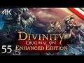 Divinity Original Sin EE po polsku (4K) - Mechaszczury #55