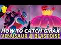 How to Catch BOTH WILD G-Max Venusaur & G-max Blastoise - Pokemon Sword and Shield Isle of Armor