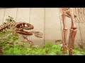 Hunting For ANCIENT Fossils in Dinosaur Fossil Hunter