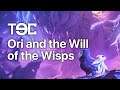 Ori and the Will of the Wisps - Análisis/Review: Un juego mágico