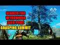 Search for Wyrdwood Seed Pods near Wyrdwood Trees in Grasping Summit New World