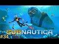 Subnautica - Entrance to the Inactive Lava Zone (Part 34)