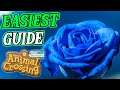 EASIEST Guide to get Blue Roses in Animal Crossing: New Horizons