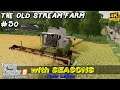 Harvesting canola & wheat, sowing oilseed radish | The Old Stream Farm #50 | FS19 TimeLapse | 4K