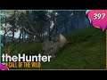 The Hunter Call Of The Wild #397 - Späte Rache    [Gameplay | Deutsch]