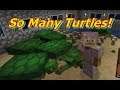 Minecraft Turtle Stuff